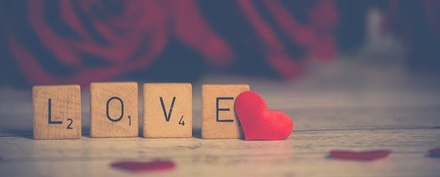 choosing a niche you love
